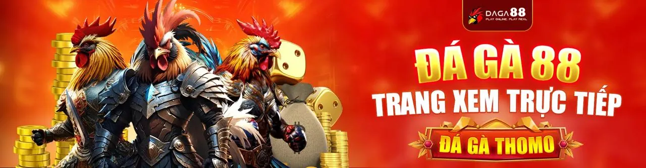 Đá Gà Trực Tuyến Hấp Dẫn tại hy88